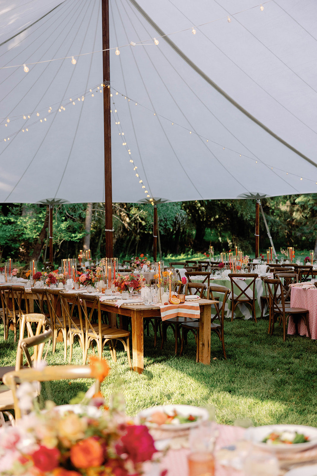 Night reception tent glowing in the trees (photo: DJN Photography)